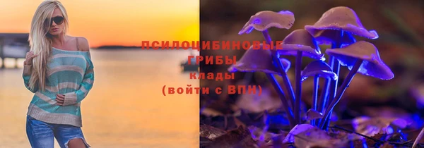 МДПВ Алексин
