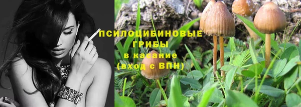 МДПВ Алексин